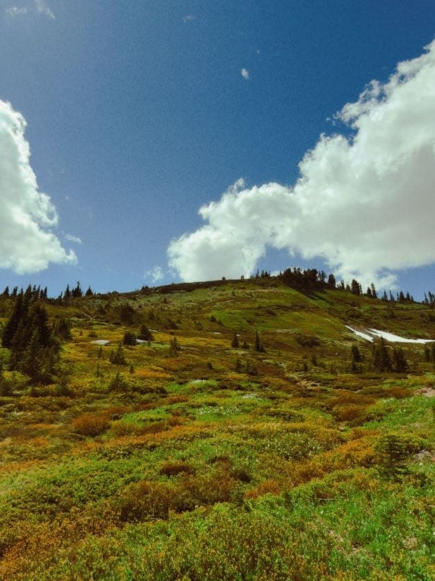 Mount Rainier hiking photo 1