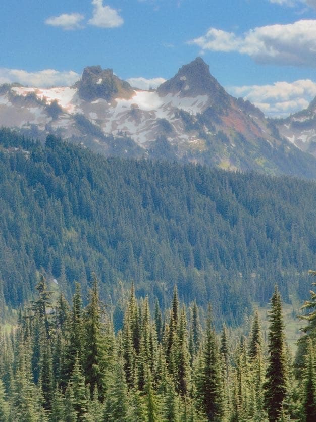Mount Rainier hiking photo 2