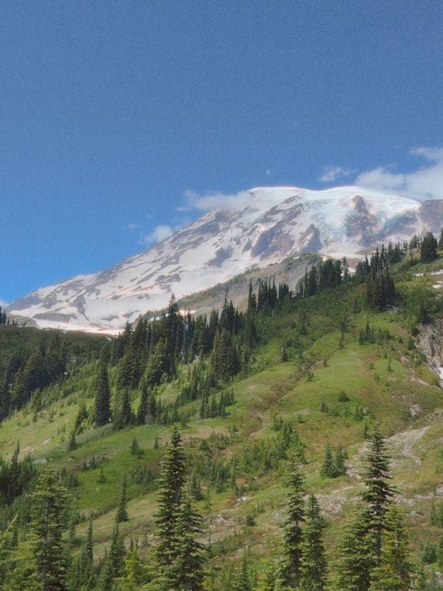 Mount Rainier hiking photo 3