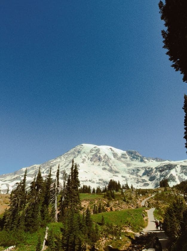 Mount Rainier hiking photo 5