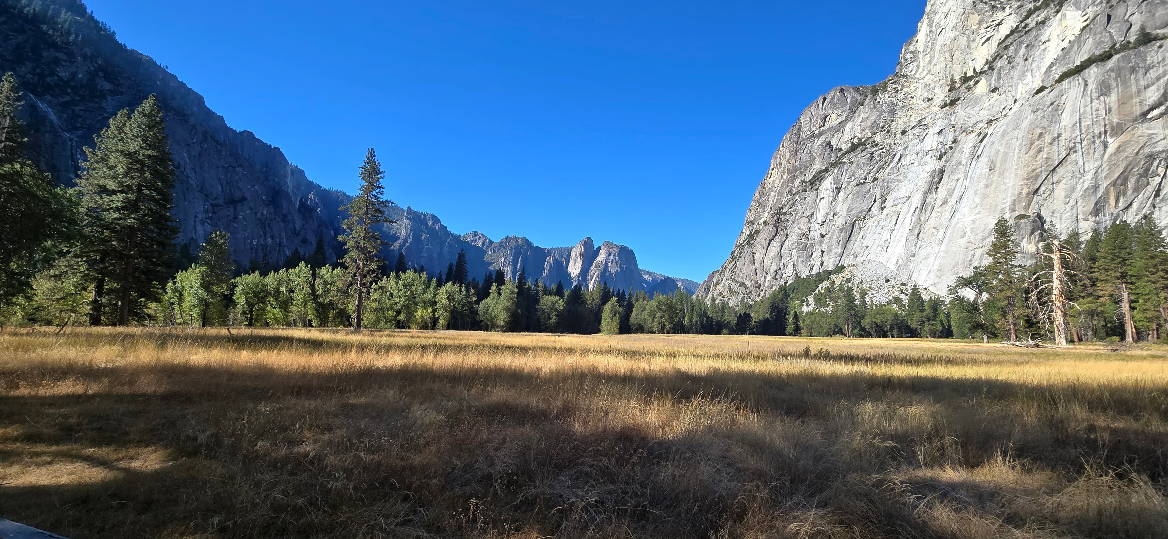 Meadow beneath granite cliffs