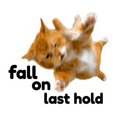 Fall on last hold climbing cat