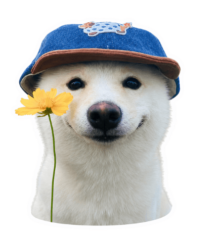 Dog in a flowered denim hat